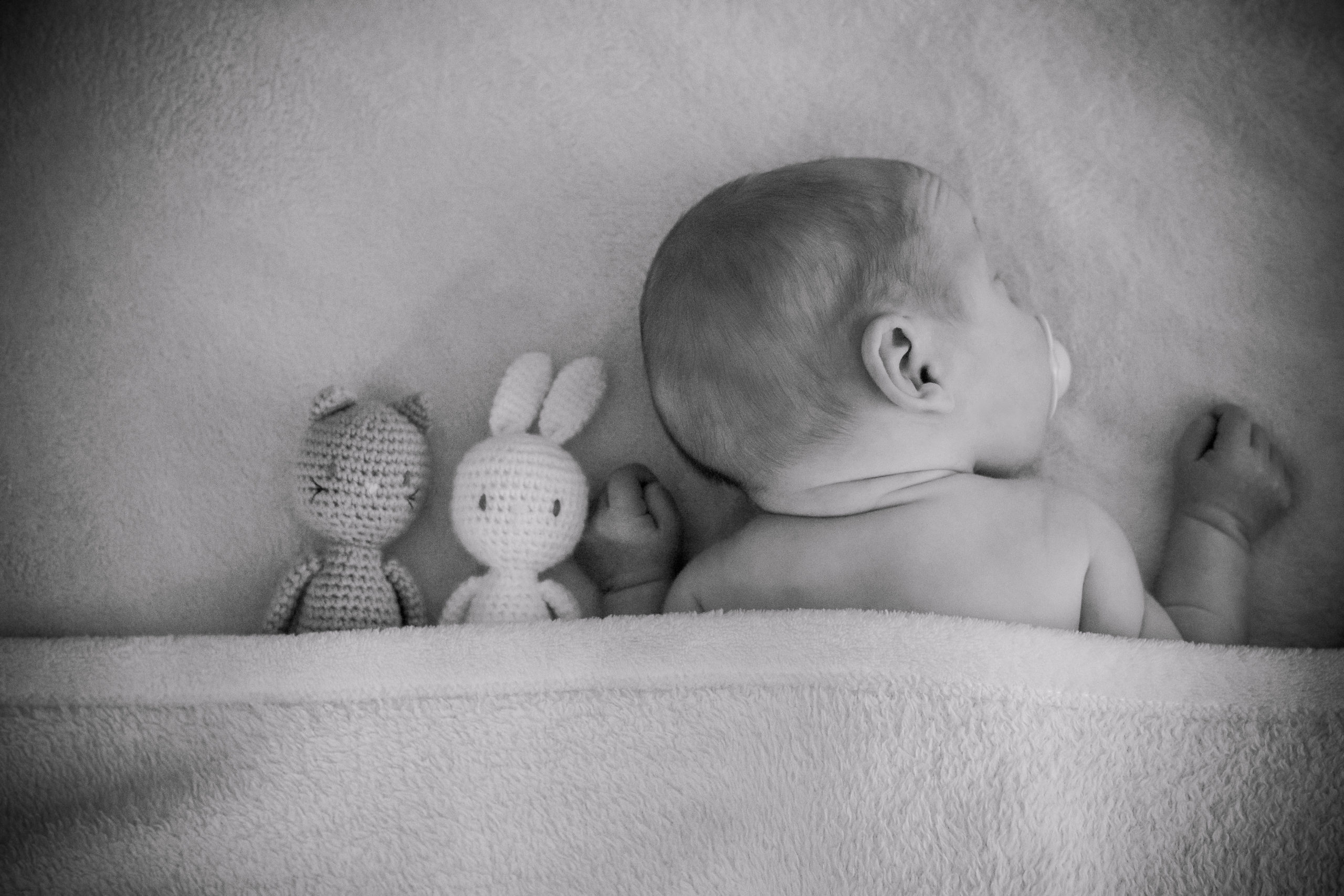 famille C